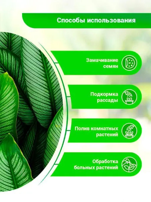 БИО-комплекс Суспензия Хлореллы Концентрат ( 500 мл)  фото 4