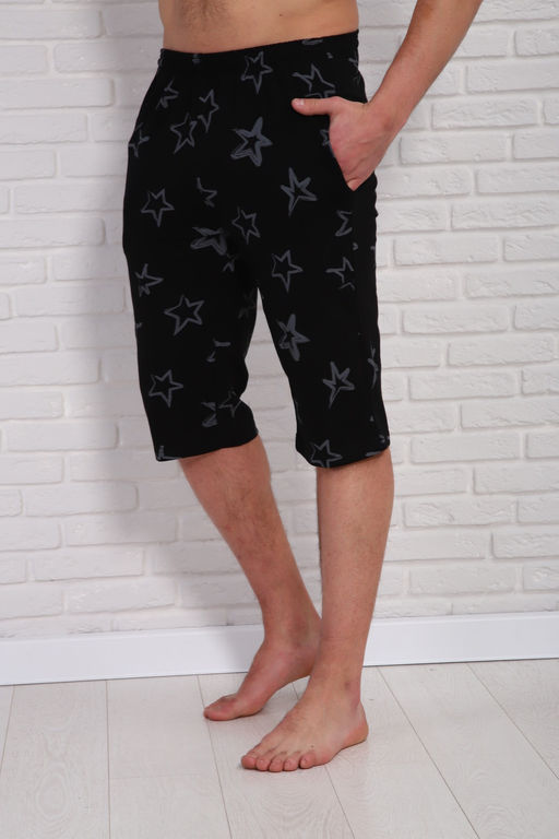 Шорты мужские 310