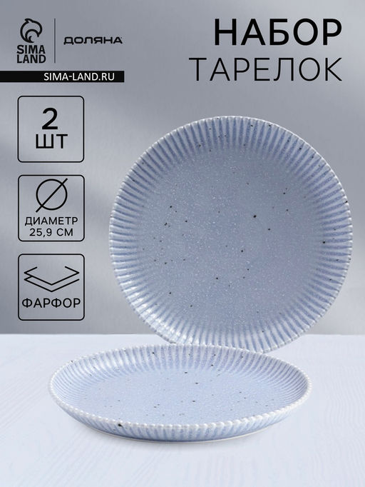 Тарелки Доляна Коралл, d=25.9 см, набор 2 шт., фарфор, голубые