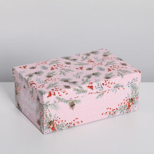 Набор подарочных коробок 5 в 1 «Зима время чудес», 32.5 х 20 х 12.5 - 22 х 14 х 8.5 см, Новый год