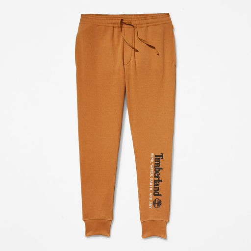 Брюки Timberland Sweatpant WWES BB Regular желтые  фото 4