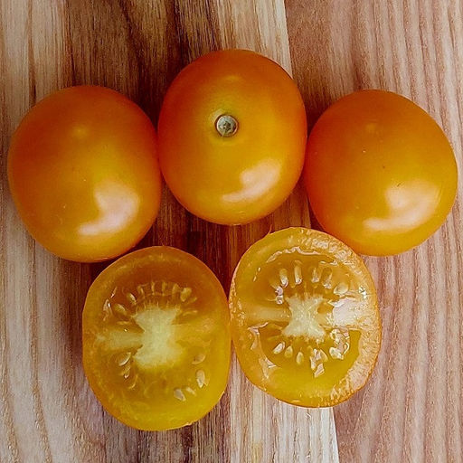 7013T Томат ГНОМ Оранжевый черри 10шт