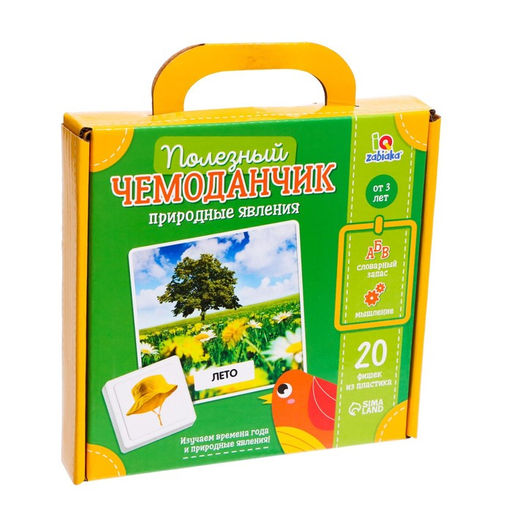 Полезный чемоданчик Природные явления, пластиковые фишки, карточки - Iq-zabiaka фото 6