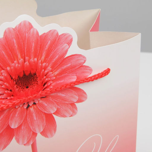 Пакет подарочный, упаковка, Flower, 25 х 26 х 10 см