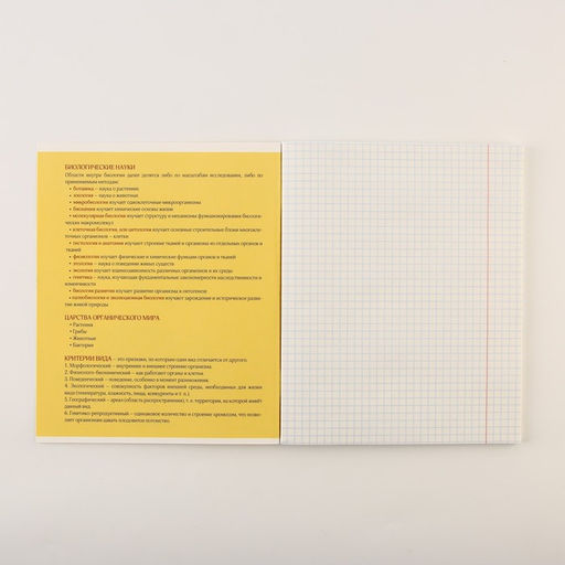 Тетради предметные, 48 л., А5, набор из 3 шт. «Персонажи»