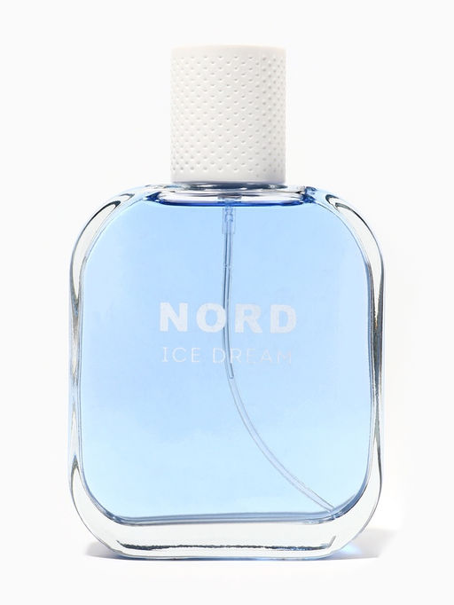Туалетная вода мужская Free Style Nord Ice Dream, 100 мл