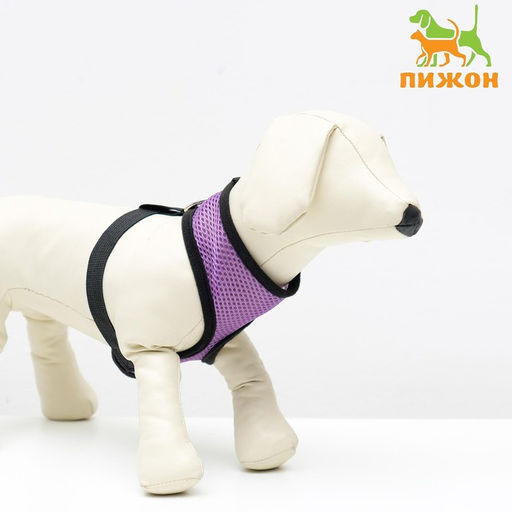 Шлейка мягкая из неопрена, размер XL, ОШ 42 см, ОГ 38-50 см, фиолетовая - Пижон фото 4