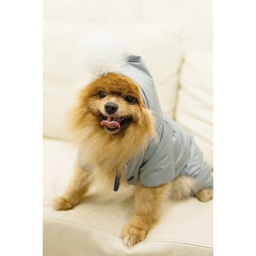 Комбинезон зимний для животных, флис, S (ДС 20-22, ОГ 32-34 см, ОШ 26 см), серый - Пижон фото 18