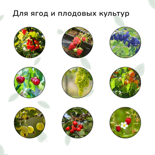 Цена за 2 шт. Сетка садовая, мягкая, 5×2 м, ячейка 15×15 мм, от птиц, Greengo