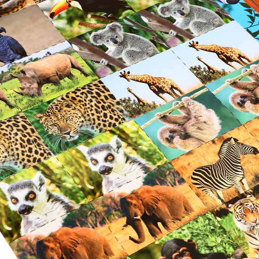 Настольная игра Бродилка. Путешествие по джунглям - Лас играс kids фото 7