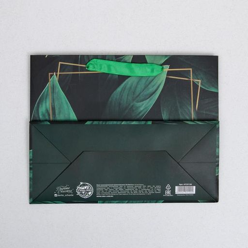 Цена за 2 шт. Пакет подарочный ламинированный, упаковка, Present for you, MS 23×18×10 см