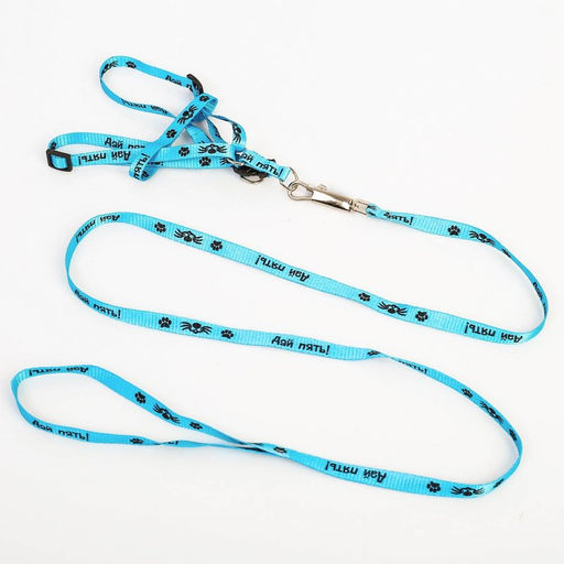 Комплект Дай пять, шлейка 26-39 см, поводок 120х1 см - Пушистое счастье фото 3