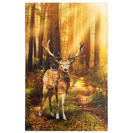 Полотенце Этель Лес, 4067 см, хлопок 100 %, саржа, 190 г/м фото 2