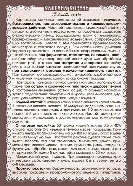 Калган (лапчатка прямостоячая), (корень)