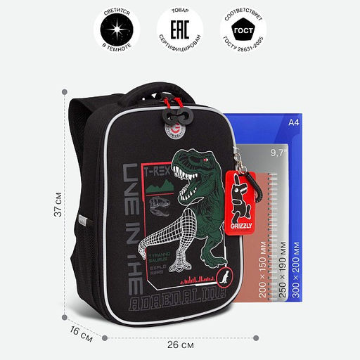 RAw-497-10 Рюкзак школьный - Grizzly фото 38