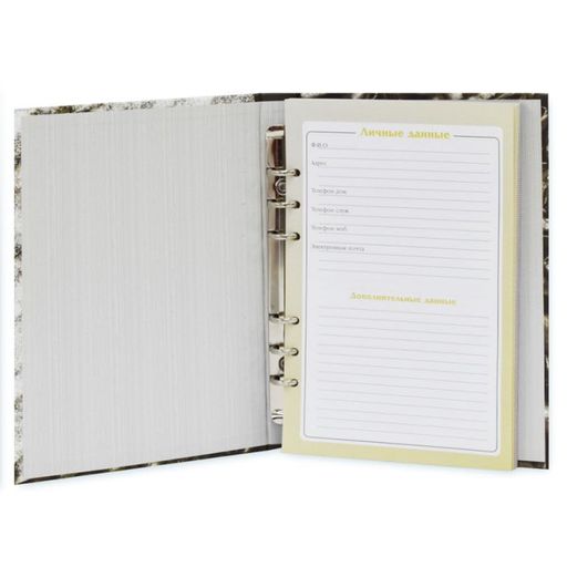 Планинг в подар.короб. CAPPUCCINO - 12613 - Escalada фото 4