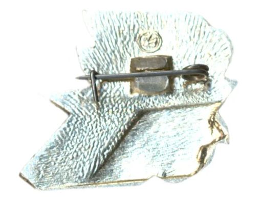 Значок Дружина юных пожарных