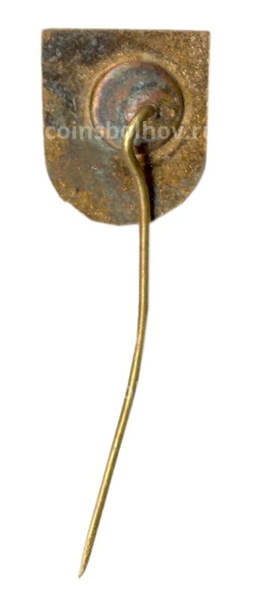 Значок рекламный ROMANIA IMAGREX