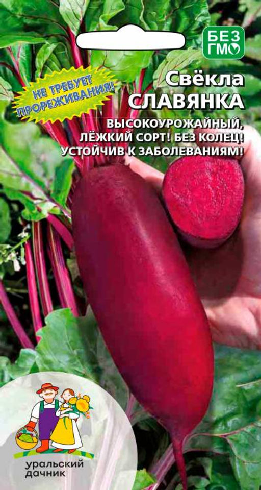 Свёкла СЛАВЯНКА