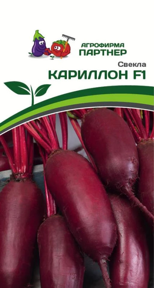 Свекла столовая Кариллон - Партнер фото 2