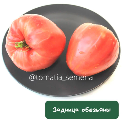 Задница обезьяны