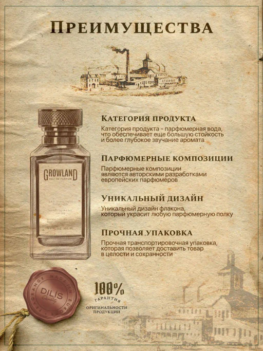 Dilis Парфюмерная вода для мужчин GROWLAND Mystic Stone 100 мл