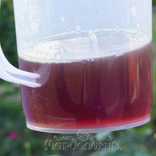 Тыквенное масло пищевое, нерафинированное - Мариславна фото 3