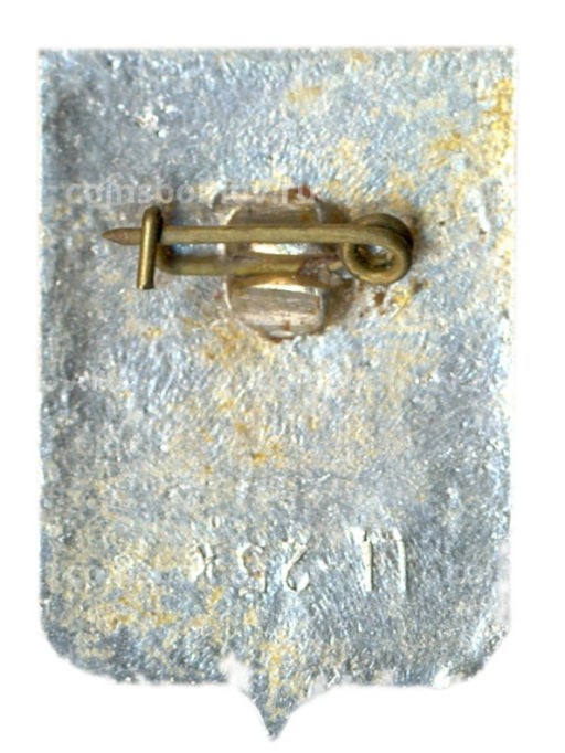 Значок Кострома