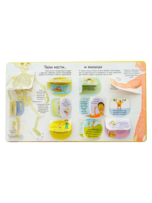 Секреты человека - Робинс фото 3