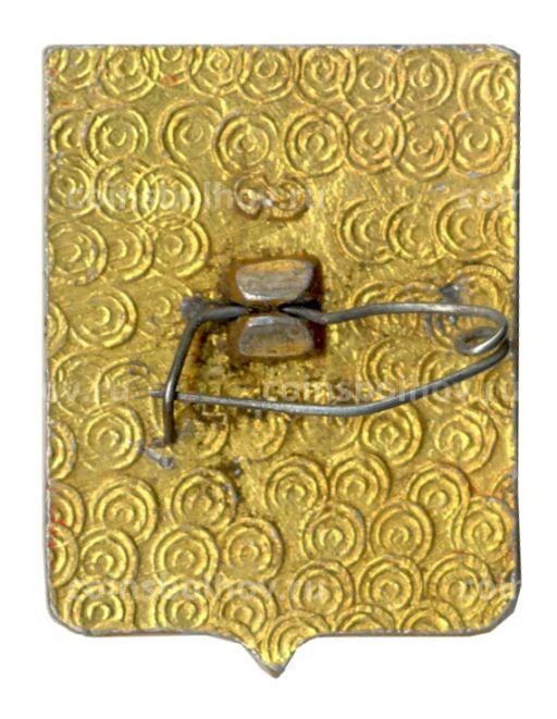 Значок Суздаль