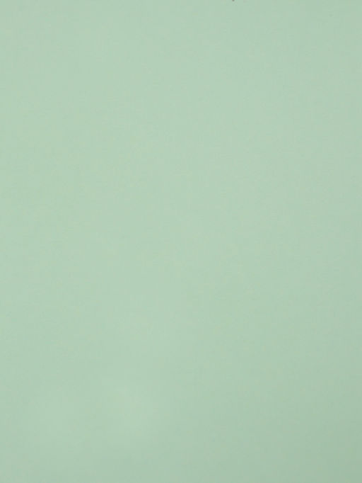 Цена за 20 шт. Бумага упаковочная крафт «Зелёный пастель», 50×70 см