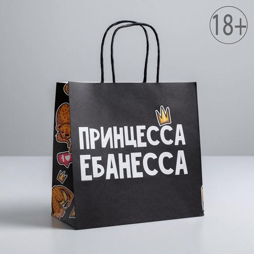 Пакет подарочный Принцесса, 22 х 22 х 11 см