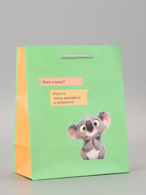 Цена за 2 шт. Пакет подарочный ламинированный «Кого я вижу?» 18×22.3×10 см