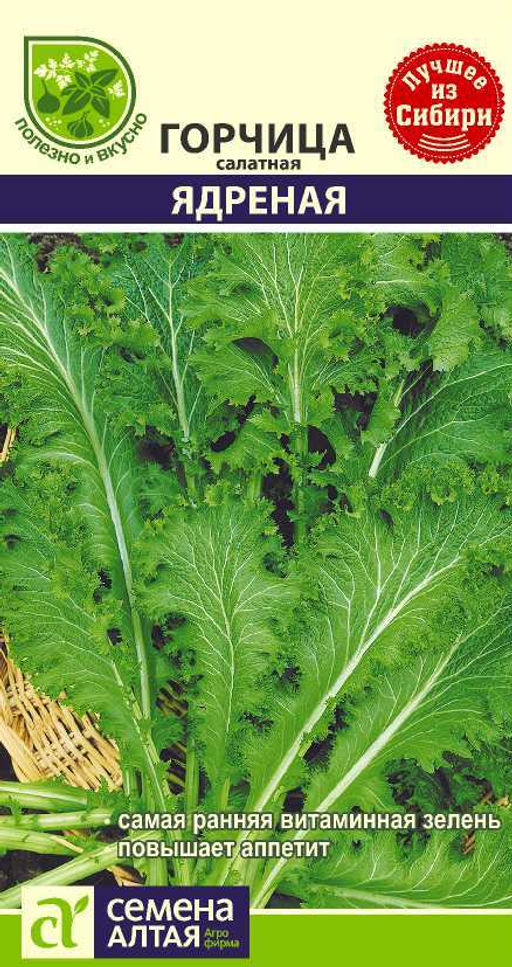 Горчица салатная Ядреная 0,5г (Семена Алтая)