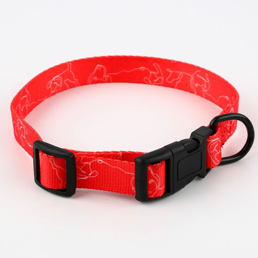 Ошейник One line, застёжка - фастекс, 2 см 25-40 см - Пушистое счастье фото 5