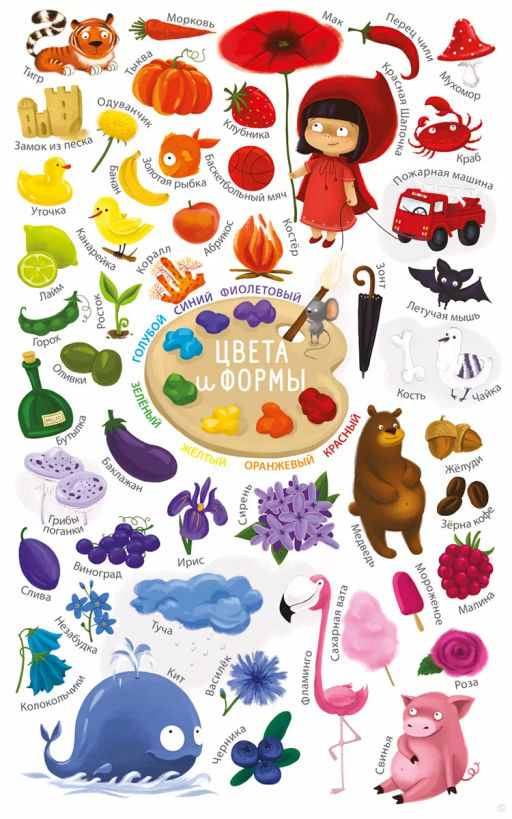 Мои первые развивающие плакаты - Робинс фото 5