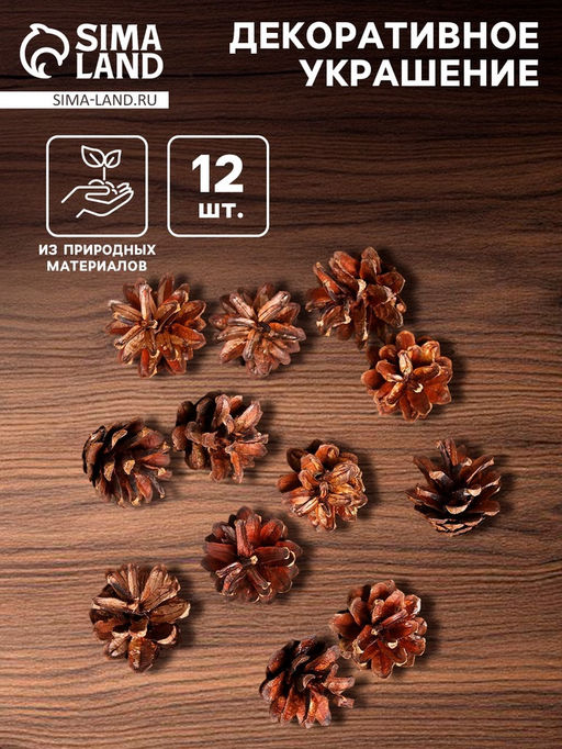 Новогодний декор Набор натуральных шишек 12 шт. - Лесная мастерская фото 7