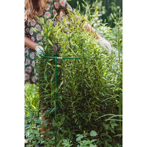 Кустодержатель, d=50 см, h=100 см, ножка d=1 см, металл, зелёный, троеножка