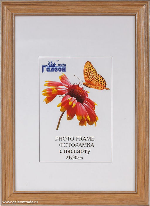 Фоторамка 21х30 / ZR8210H-369368 /уп10