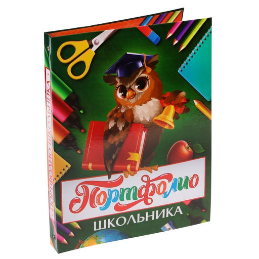 Папка школьная на кольцах «Портфолио школьника», 6 листов-разделителей, 24.5×32 см