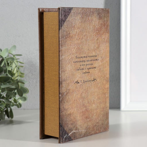 Шкатулка книга-сейф Финансист, дерево, 21?13.5?5