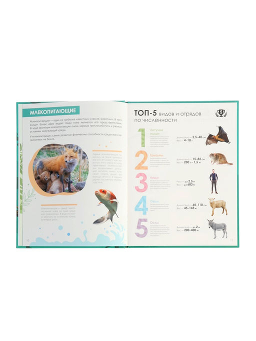 Энциклопедия «Животные»