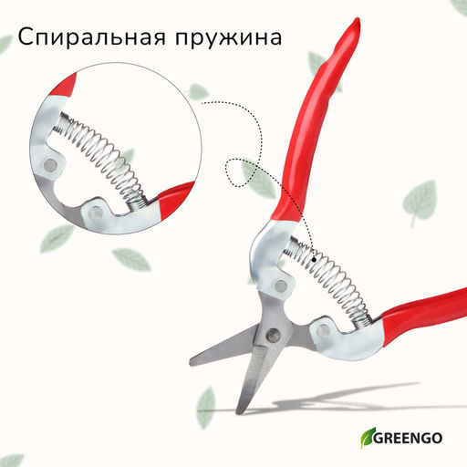 Ножницы садовые, 7 (18 см), с металлическими ручками, обрезиненная ручка, красные, Greengo фото 5