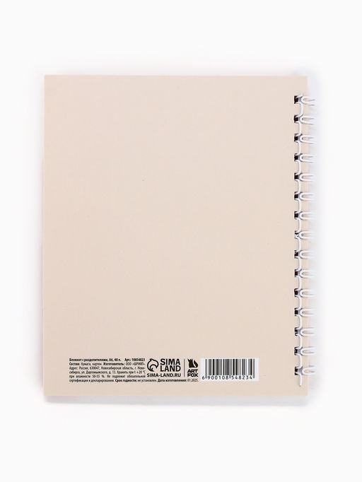 Цена за 2 шт. Блокнот с разделителями А6, 48 листов «Действуй»