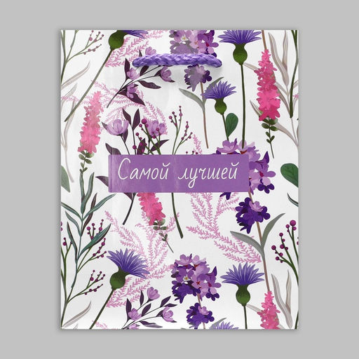 Цена за 2 шт. Пакет подарочный ламинированный, упаковка, «Самой лучшей», S 12 х 15 х 5.5 см