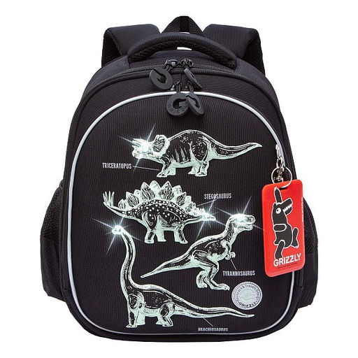 RAz-587-5 Рюкзак школьный - Grizzly фото 25