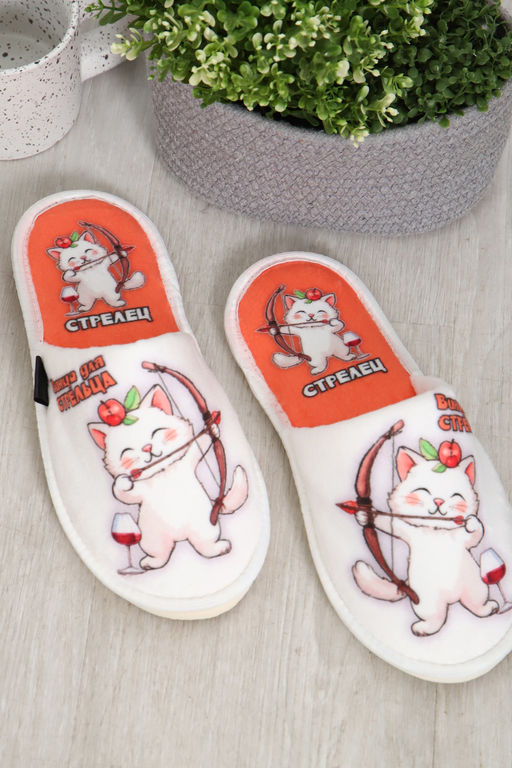 Тапки Кото-гороскоп Стрелец