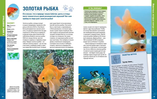 В мире животных (нов.обл.). Энциклопедия. Пратези Ф., Пратези И. - Махаон фото 4