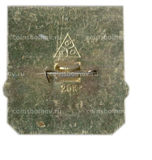 Значок Владимир