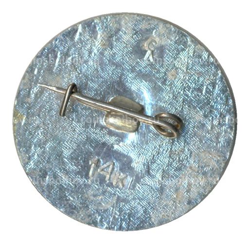 Значок Петропавловская крепость Васильевские ворота